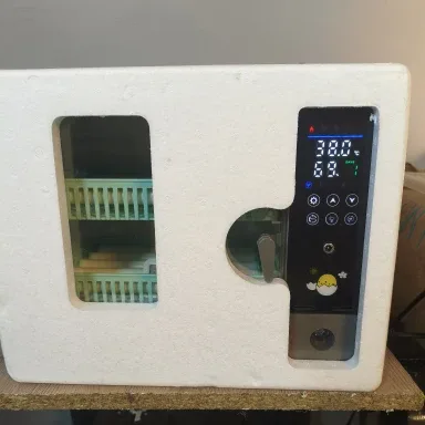 Incubadora encendida dentro de una caja de corcho blanco, con la pantalla a la vista