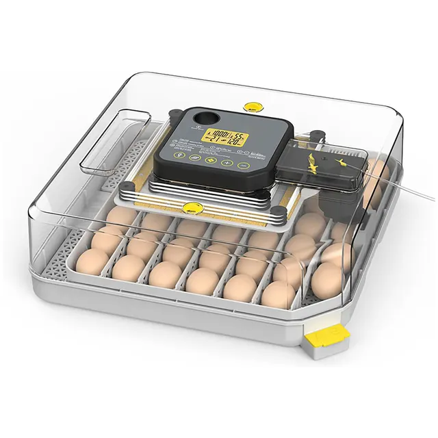 Incubadora WONEGG 48 con tapa transparente y huevos en la bandeja