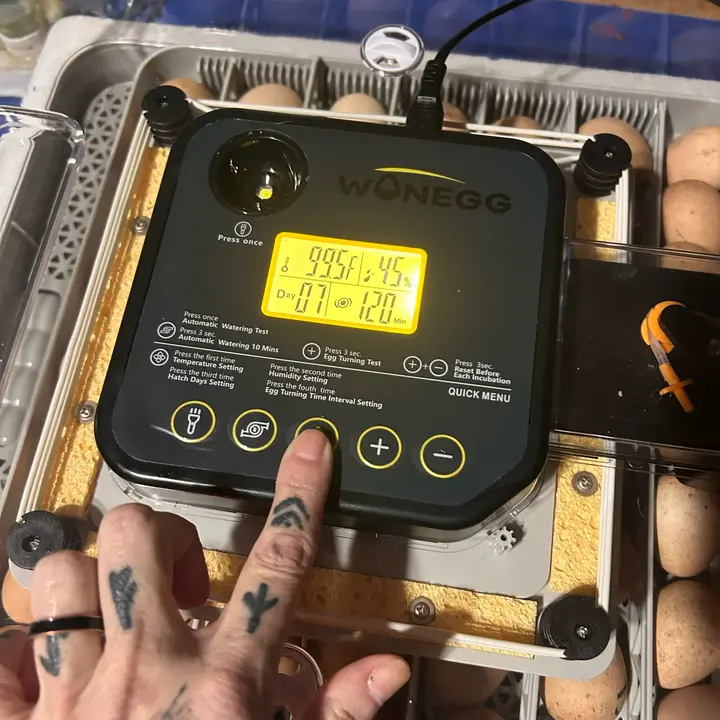 Incubadora WONEGG 48 funcionando con huevos dentro y la pantalla encendida